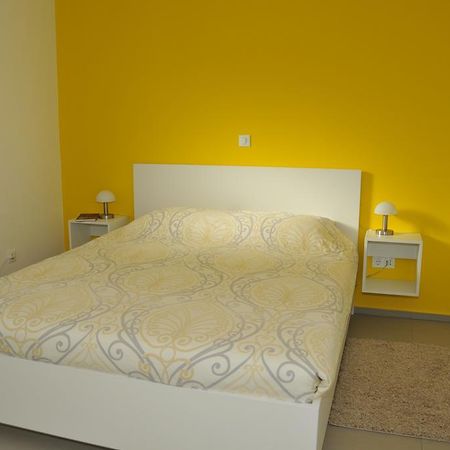 Atrium Flat In The Villa Любляна Екстер'єр фото
